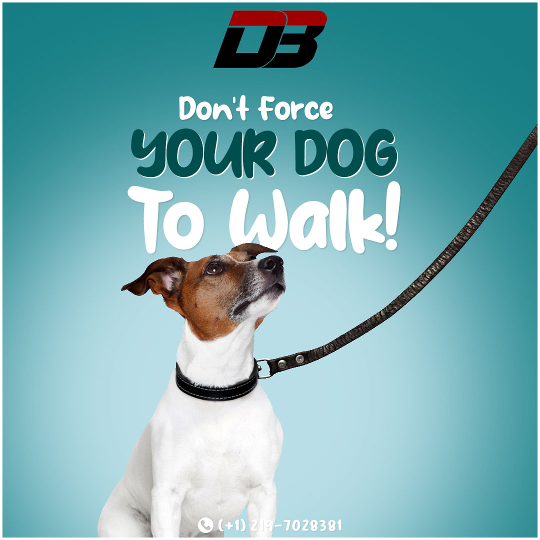 D3 — Don't Force Your Dog to Walk! post